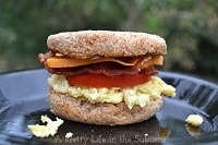 Camping Breakfast Sandwiches