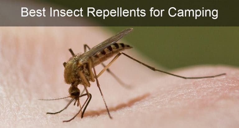 inspect-repellents-for-camping-header