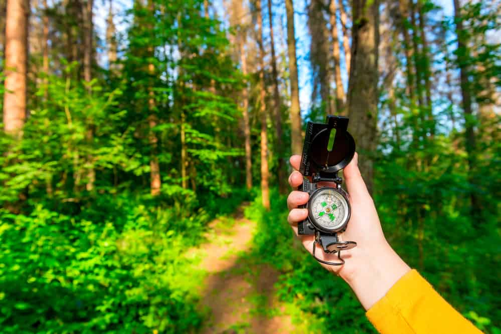 hand holding a compass in the forest