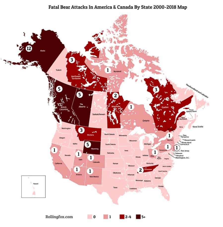Fatal-bear-attacks-in-usa-and-canada