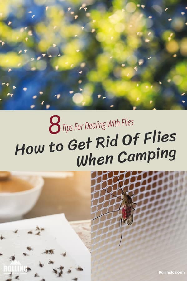 How-to-get-rid-of-flies-when-camping-pin