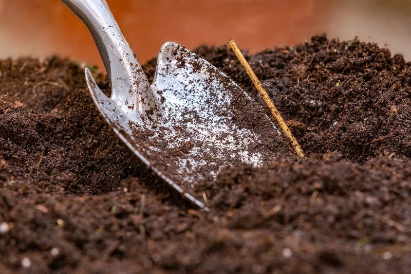 A trowel digging in the dirt