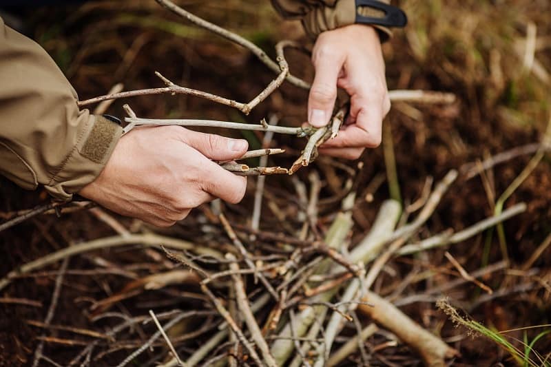 building a campfire with dry twigs